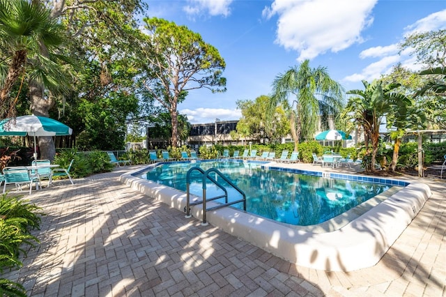 view of pool with a patio area