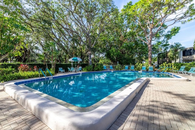 view of swimming pool featuring a patio area