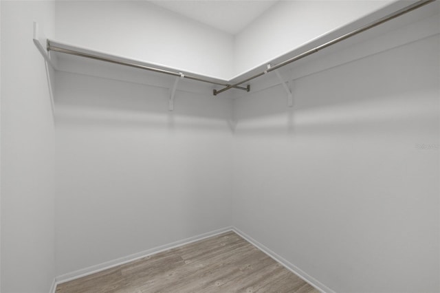 walk in closet with hardwood / wood-style flooring