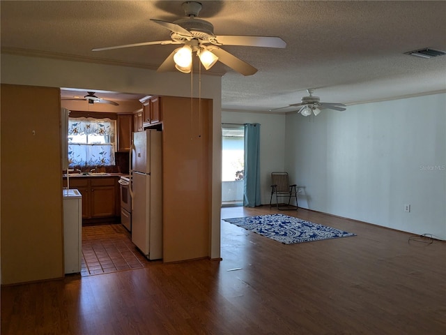 kitchen featuring dark hardwood / wood-style floors, a healthy amount of sunlight, a textured ceiling, and white appliances