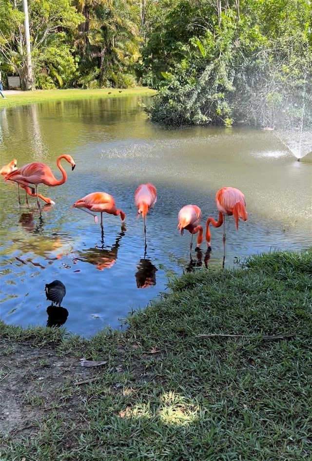 Cloras St, North Port, FL 34287