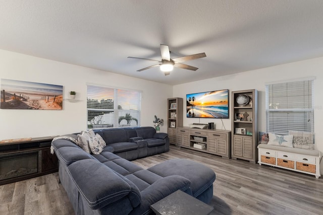 living room featuring ceiling fan, a textured ceiling, and hardwood / wood-style flooring