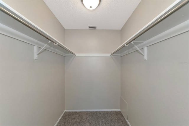 walk in closet with carpet flooring