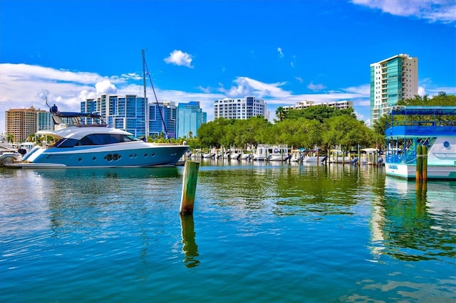 water view featuring a boat dock