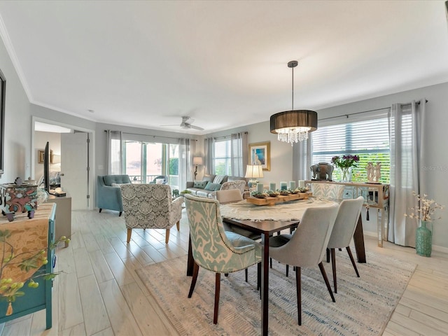 dining room featuring ceiling fan with notable chandelier, light hardwood / wood-style floors, and a wealth of natural light