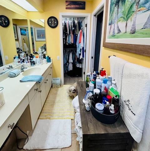 bathroom with vanity and a spacious closet