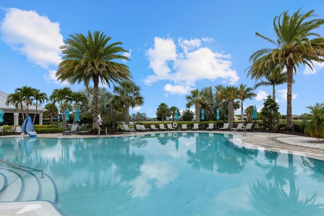 view of swimming pool