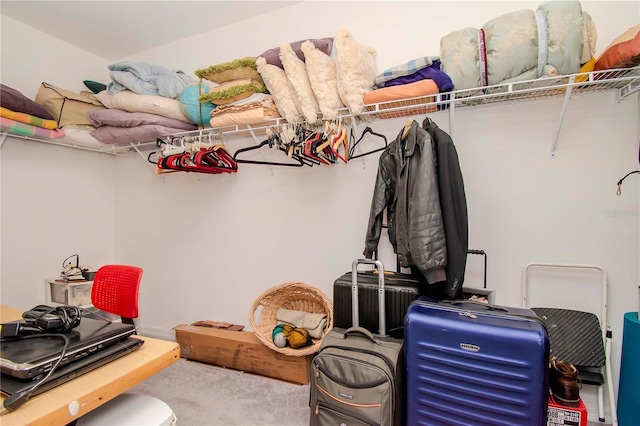 spacious closet featuring carpet flooring