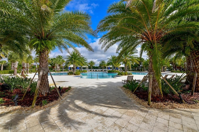 view of swimming pool with a patio area