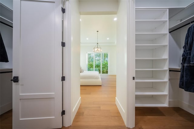 walk in closet with light wood-type flooring