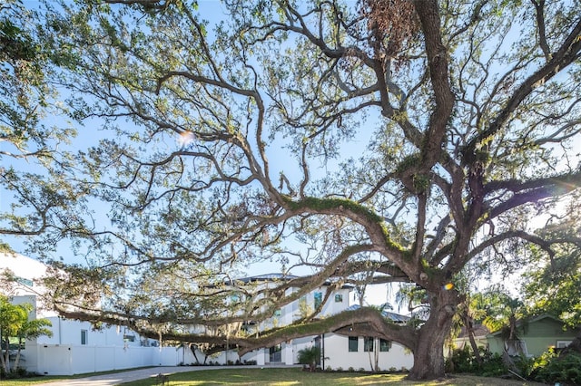 exterior space with a lawn