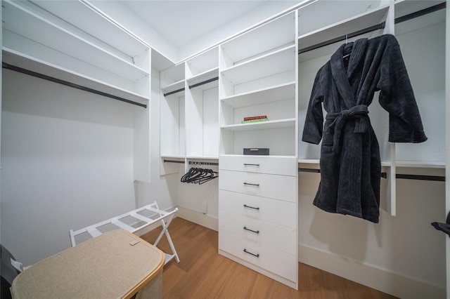 spacious closet featuring light hardwood / wood-style floors