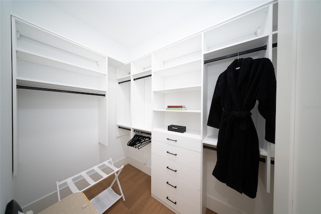 spacious closet with hardwood / wood-style flooring