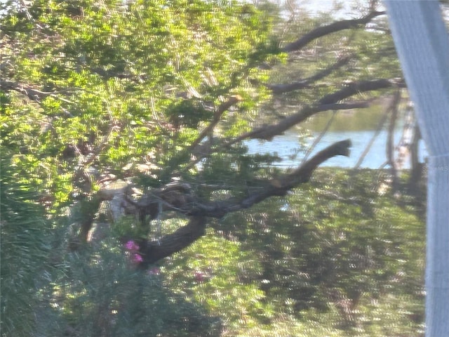 view of nature featuring a water view