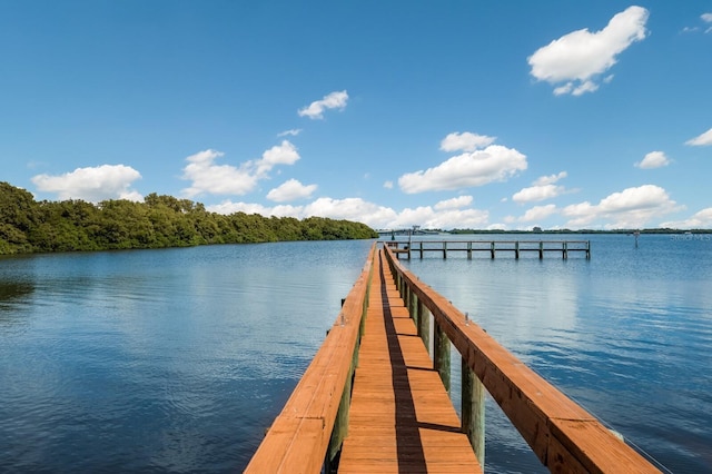 dock area featuring a water view