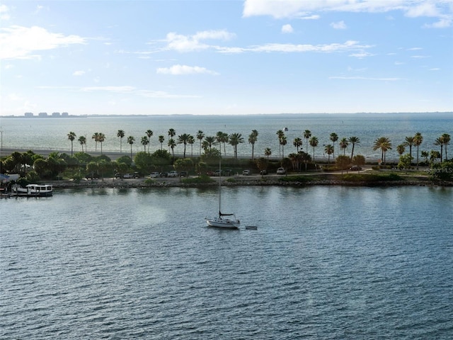 view of water feature