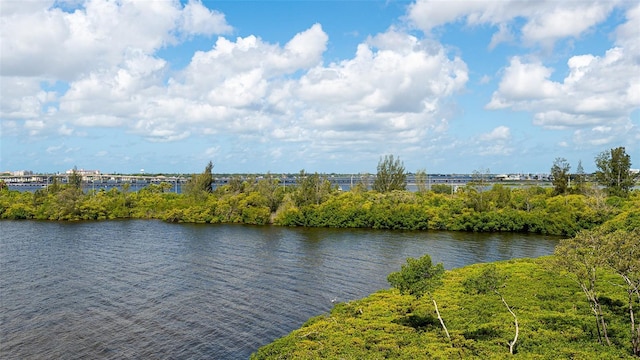 view of water feature