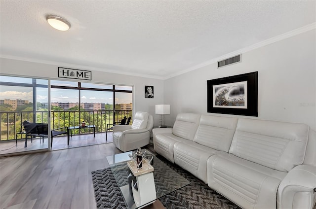 living room featuring dark wood-type flooring, a textured ceiling, and ornamental molding