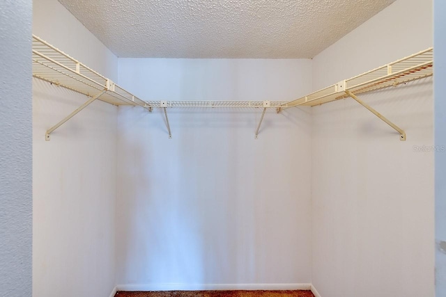 walk in closet featuring carpet