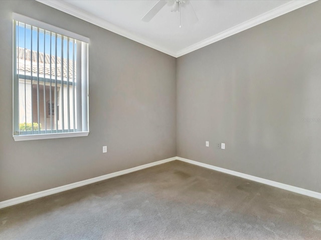 spare room with carpet, ceiling fan, and ornamental molding