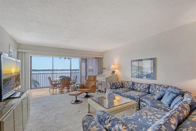 living room with a textured ceiling