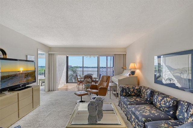 carpeted living room with a textured ceiling and a water view