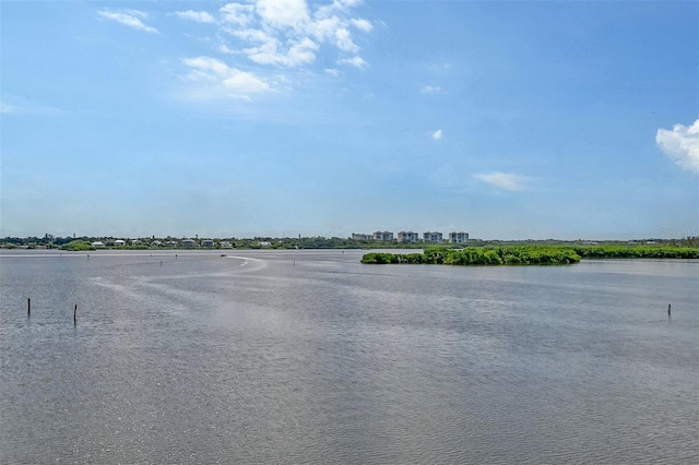 view of water feature