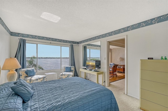 bedroom with light carpet, multiple windows, and a textured ceiling