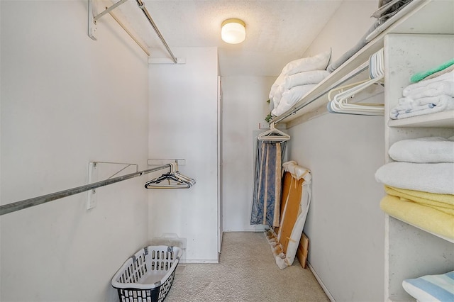 walk in closet with light colored carpet