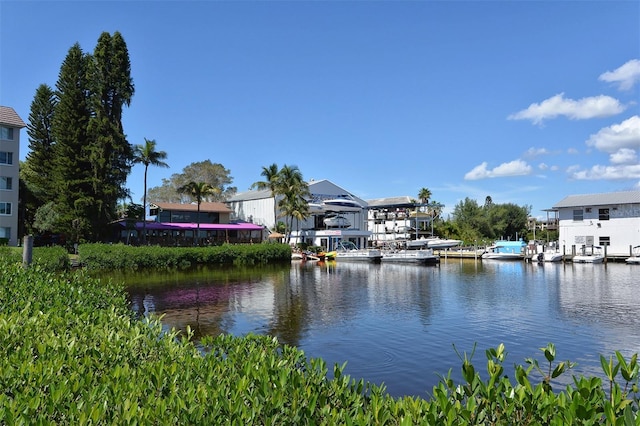 view of water feature featuring a boat dock