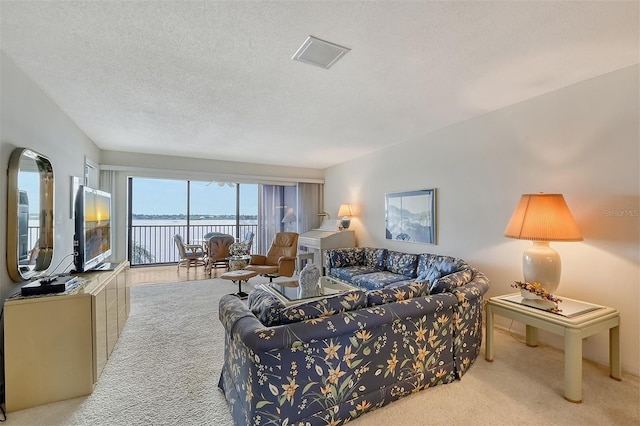 living room featuring light colored carpet and a textured ceiling