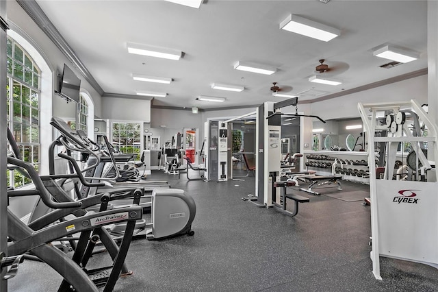 gym featuring crown molding and ceiling fan