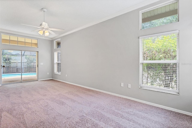 unfurnished room featuring carpet flooring, ceiling fan, and ornamental molding