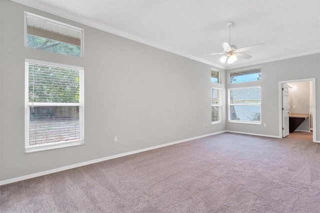 carpeted empty room with ceiling fan, plenty of natural light, and ornamental molding