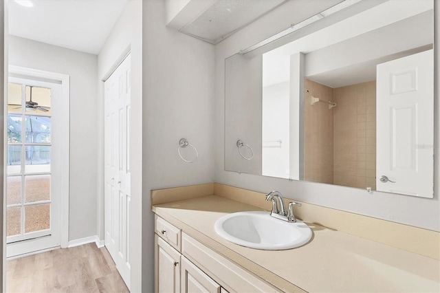 bathroom with hardwood / wood-style floors and vanity