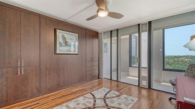 interior space with ceiling fan and light hardwood / wood-style floors