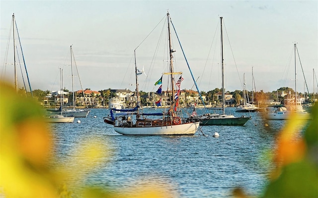 property view of water with a dock