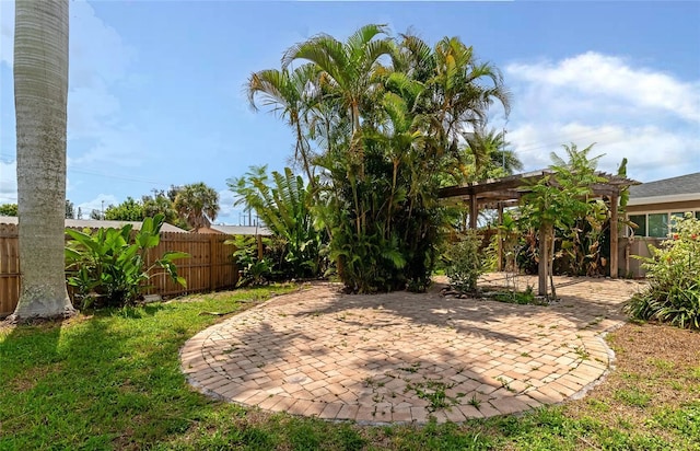 view of yard featuring a pergola and a patio