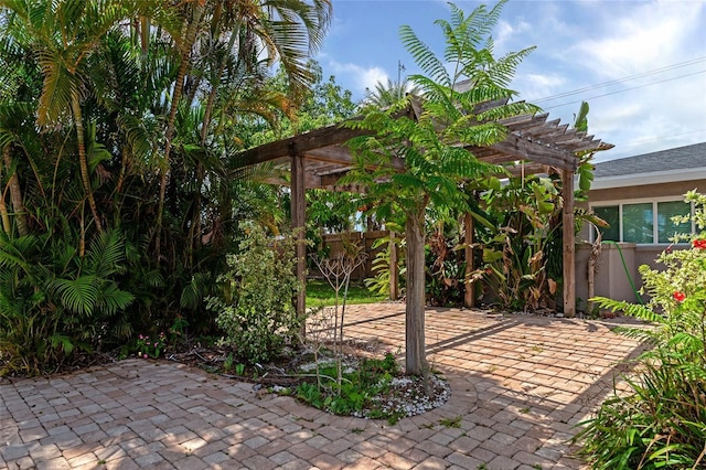 view of patio / terrace featuring a pergola