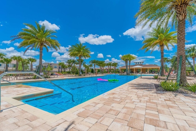 view of swimming pool featuring a patio