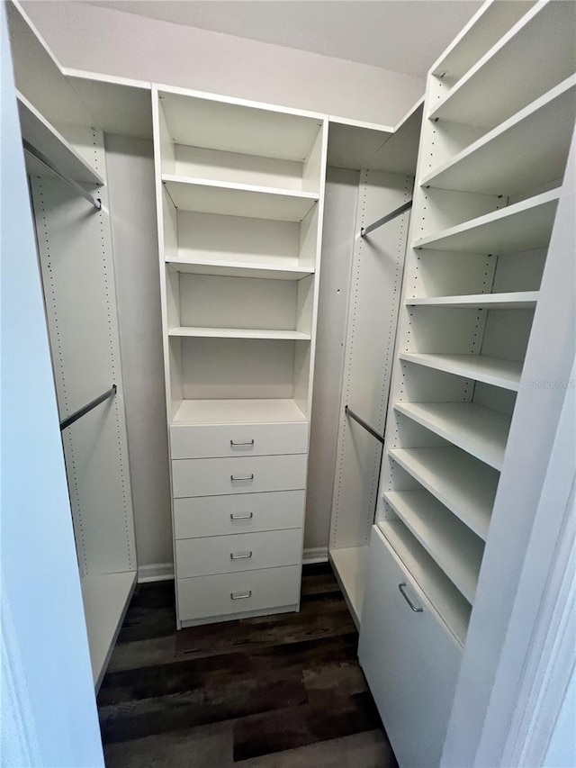 spacious closet featuring dark hardwood / wood-style floors