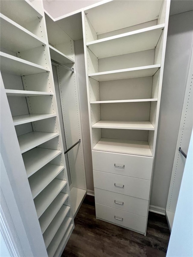 spacious closet with dark wood-type flooring