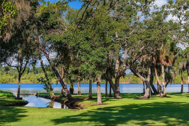 view of water feature