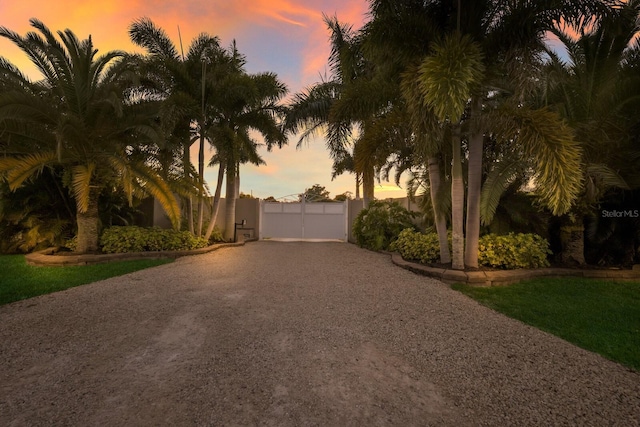 view of yard at dusk