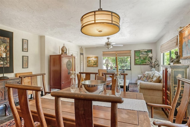 dining area featuring ceiling fan and a healthy amount of sunlight