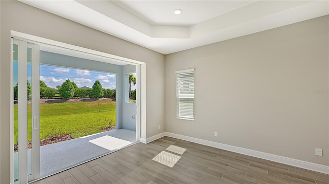 entryway featuring a raised ceiling and wood-type flooring