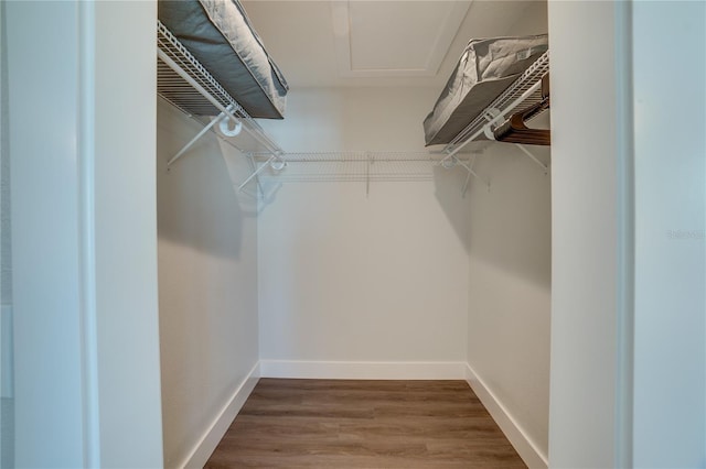 spacious closet featuring wood-type flooring