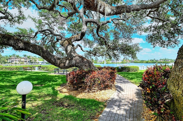 view of property's community featuring a yard and a water view