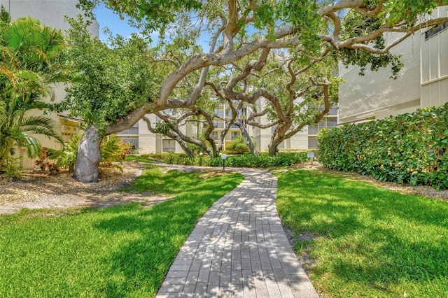 surrounding community featuring a lawn