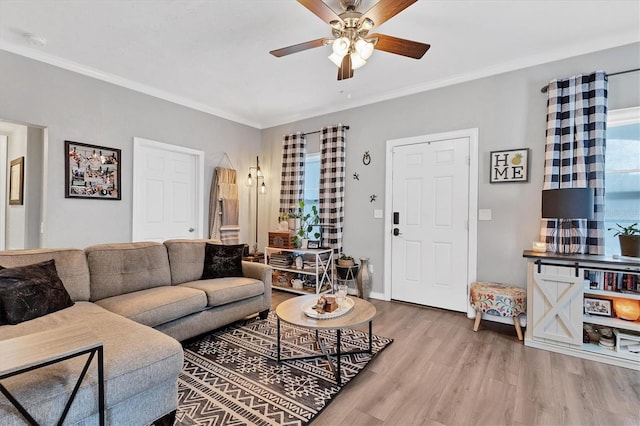 living room featuring light hardwood / wood-style floors, ceiling fan, and ornamental molding